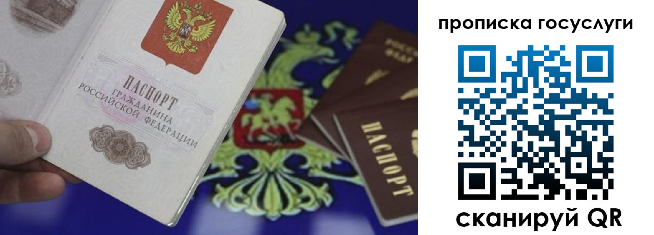 прописка для школы в Волоколамске